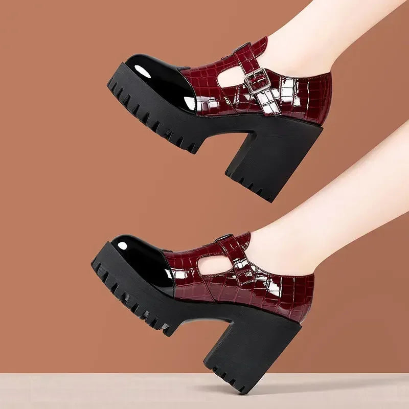 10cm Small Size 32-42 Vintage Thick Bottom Mix Color Mary Janes Platform Shoes 2025 Spring Block High Heels Shoes Office Model
