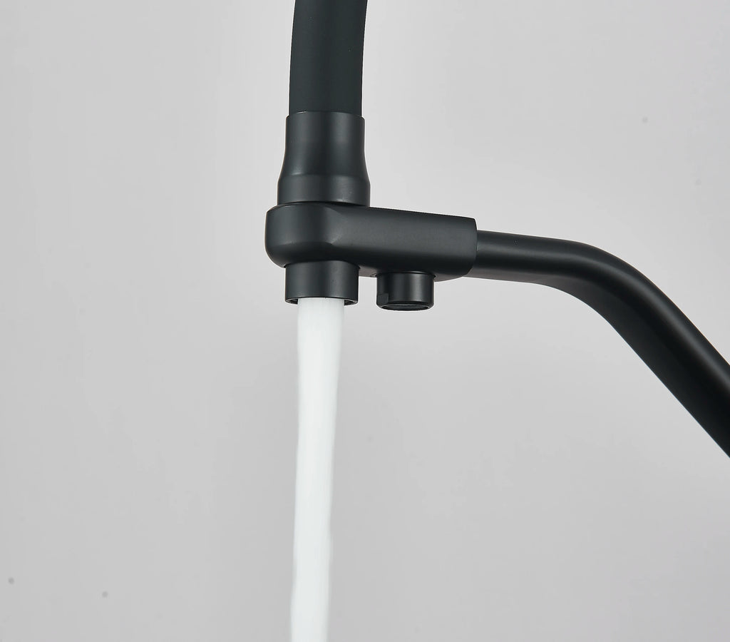Matte Black 304 Stainless Steel kitchen Sinks Cold And Hot Water Mixer With Soap Dispenser And Cup Disher