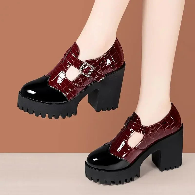 10cm Small Size 32-42 Vintage Thick Bottom Mix Color Mary Janes Platform Shoes 2025 Spring Block High Heels Shoes Office Model