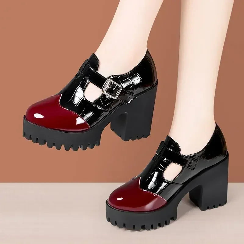 10cm Small Size 32-42 Vintage Thick Bottom Mix Color Mary Janes Platform Shoes 2025 Spring Block High Heels Shoes Office Model
