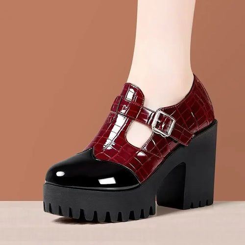 10cm Small Size 32-42 Vintage Thick Bottom Mix Color Mary Janes Platform Shoes 2025 Spring Block High Heels Shoes Office Model